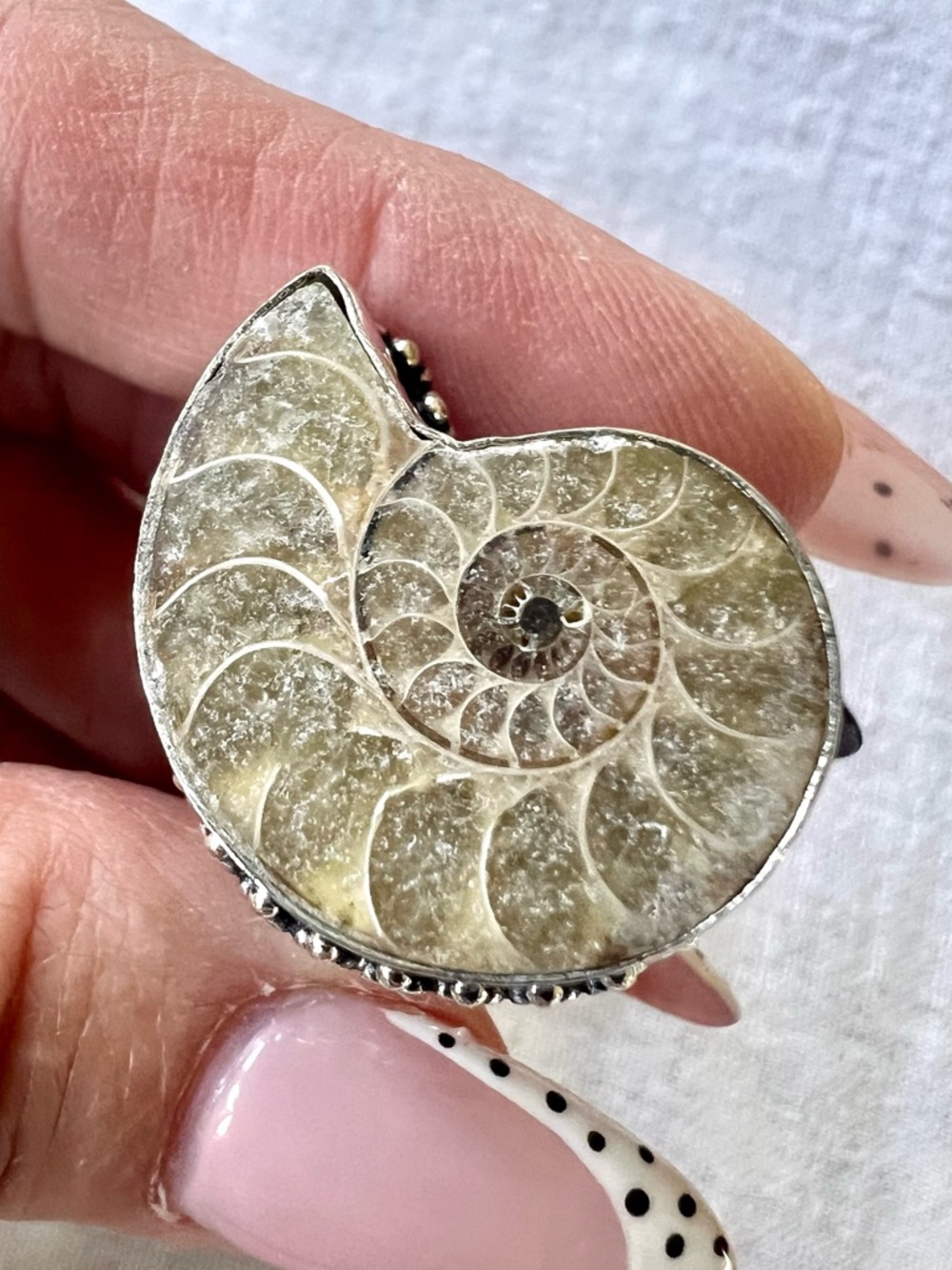 925 AMMONITE Fossil Past Lives Ring 9.5 - Picture 4 of 8